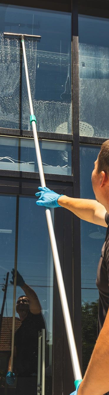 showcase-cleaning